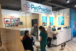 Pet Practice Veterinary Surgery in Milton Keynes