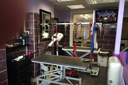 Four Paws Dog Grooming Ltd in Ipswich