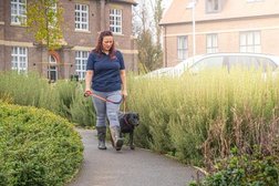We Love Pets Derby - Dog Walker, Pet Sitter & Home Boarder in Derby
