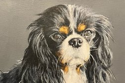 Sarah Perkins Art - pet portraits & creative animal Art in Derby