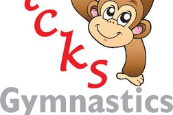Little Tricks Gymnastics Photo